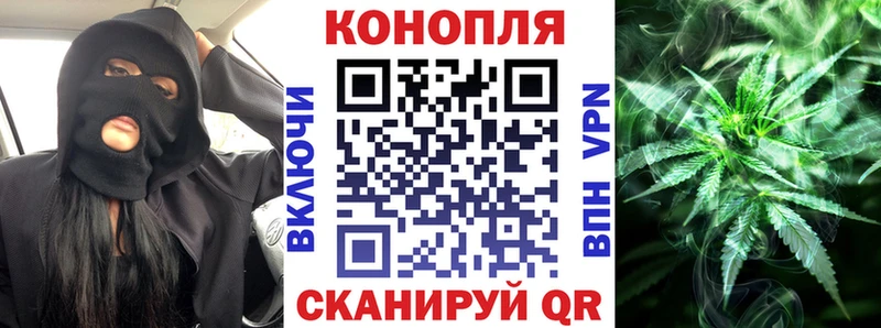 наркота  Тайшет  Каннабис тримм 